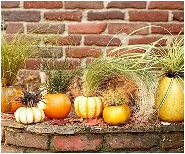 Nous fabriquons des bijoux de citrouille pour le jardin, les chalets et les maisons avec leurs propres mains (38 photos)