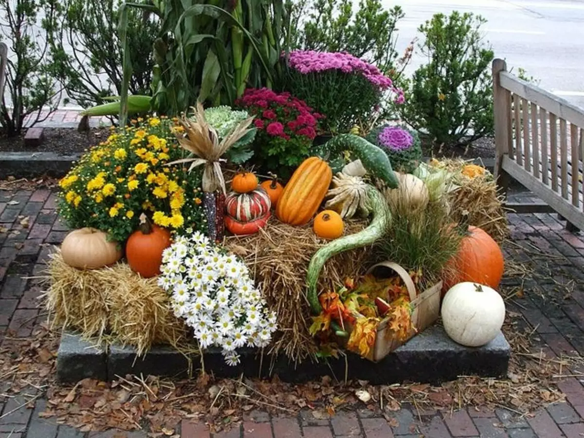 Isu tinoita zvishongo kubva pumpkin yebindu, chivakwa nedzimba nemaoko avo (35 photos)