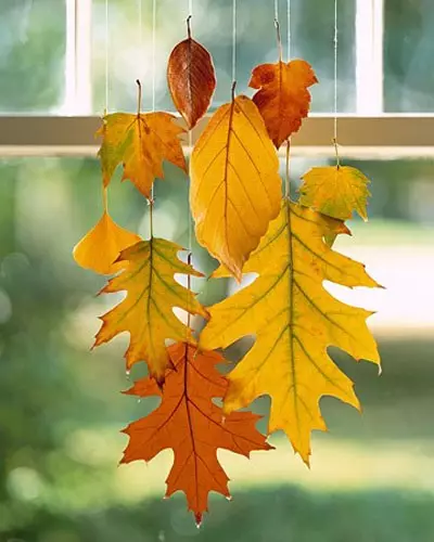 秋のカエデの葉から自分の手で工芸品（44写真）