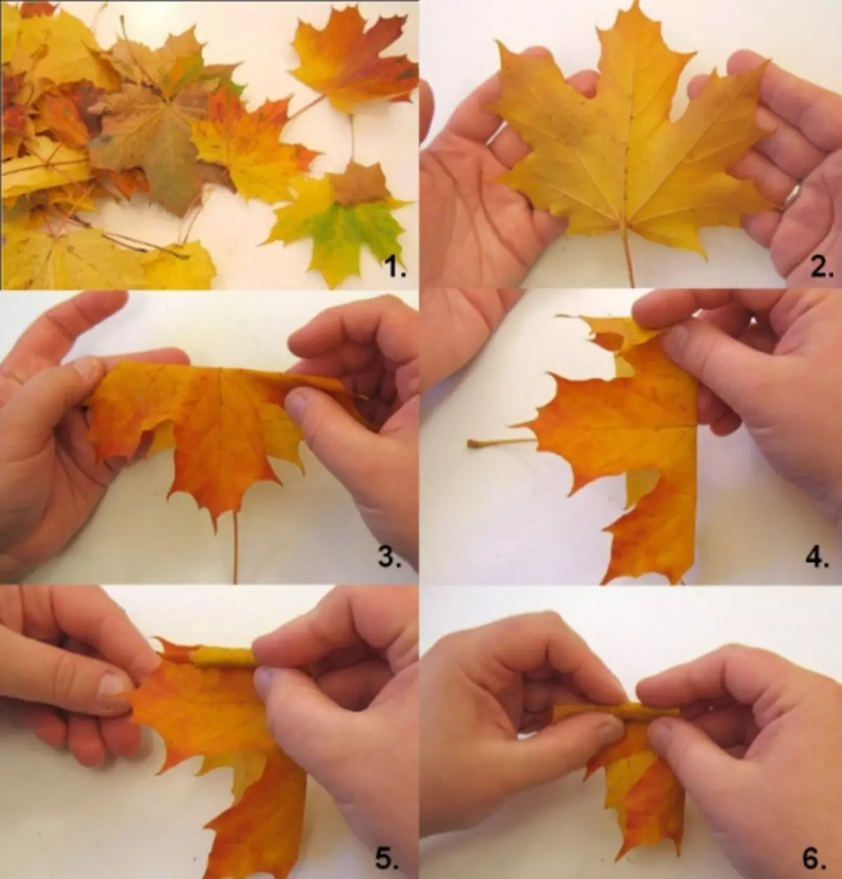 Что можно делать листья