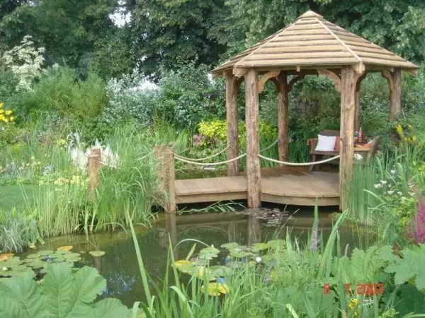Cách trang trí một khu vườn, hộ gia đình, cốt truyện Cottage (50 ảnh)