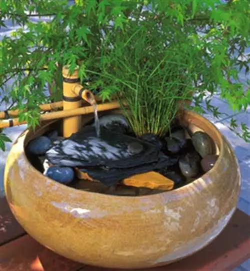 Yadda ake yin Fountain: 6 Nau'in