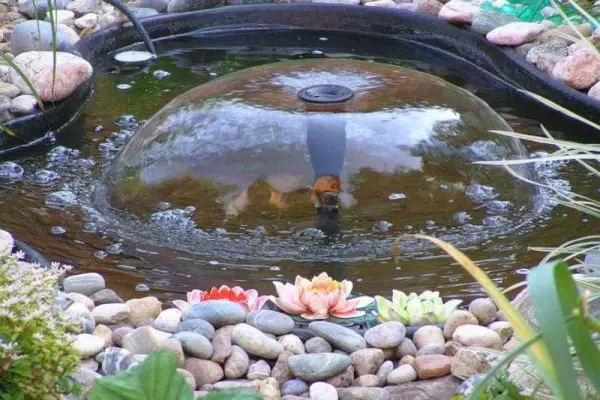 Yadda ake yin Fountain: 6 Nau'in