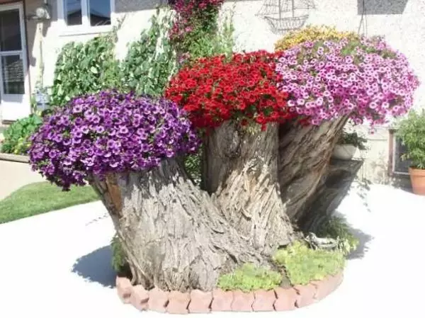 How to make outdoor colors vases