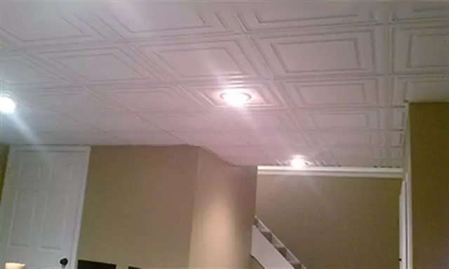 Uyilo lwe-ceiling kwiholo: umhlobiso we-plasterboard