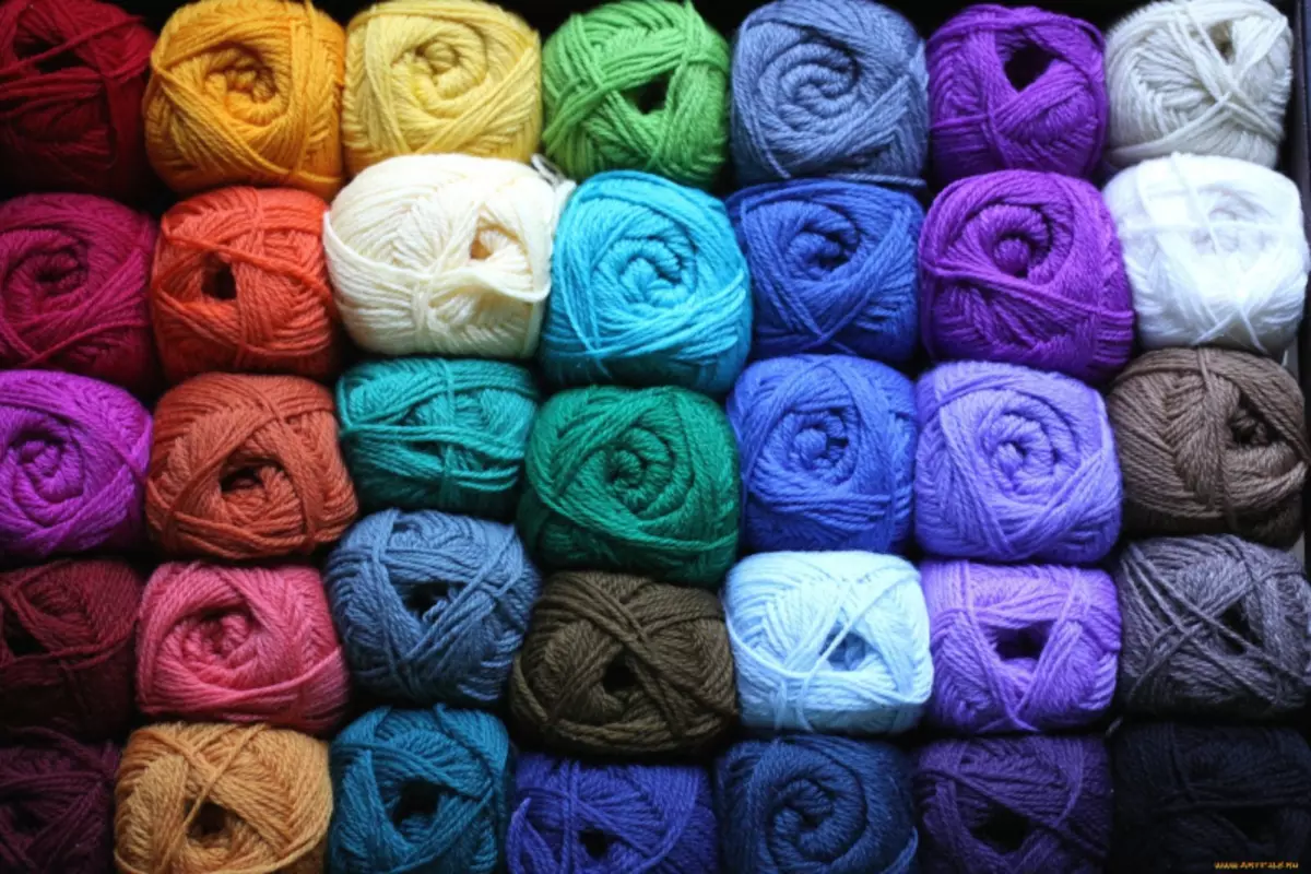 Crochet लेता है: सर्दियों के लिए वीडियो के साथ शुरुआती के लिए मास्टर क्लास