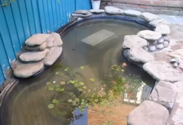 집 근처에서 코티지에서 연못을 만드는 방법