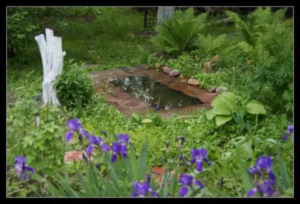 Bagaimana untuk membuat kolam di pondok, di taman, berhampiran rumah