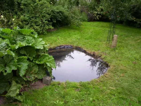 घराच्या जवळ, बागेत कुटीर येथे तलाव कसा बनवायचा