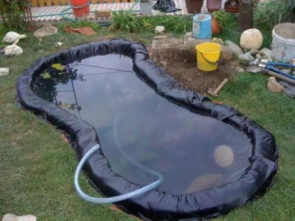 How to make a pond at the cottage, in the garden, near the house