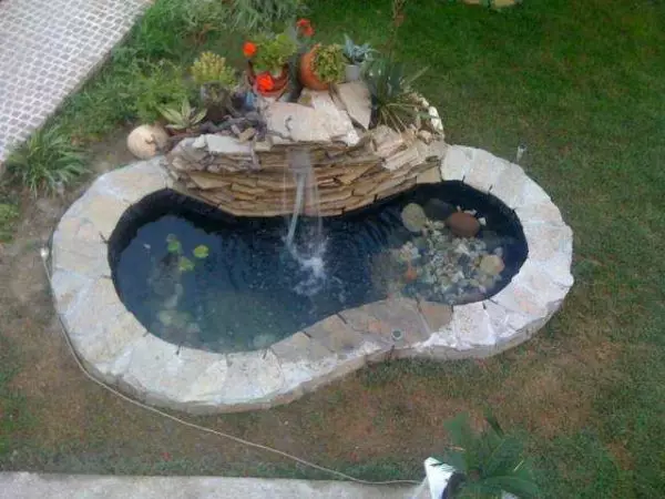 How to make a pond at the cottage, in the garden, near the house