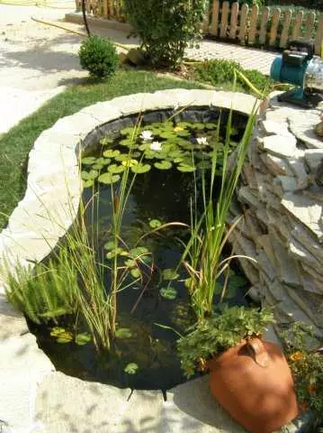 So machen Sie einen Teich in der Hütte, im Garten, in der Nähe des Hauses