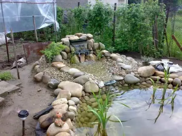 Kako narediti ribnik na koči, na vrtu, blizu hiše