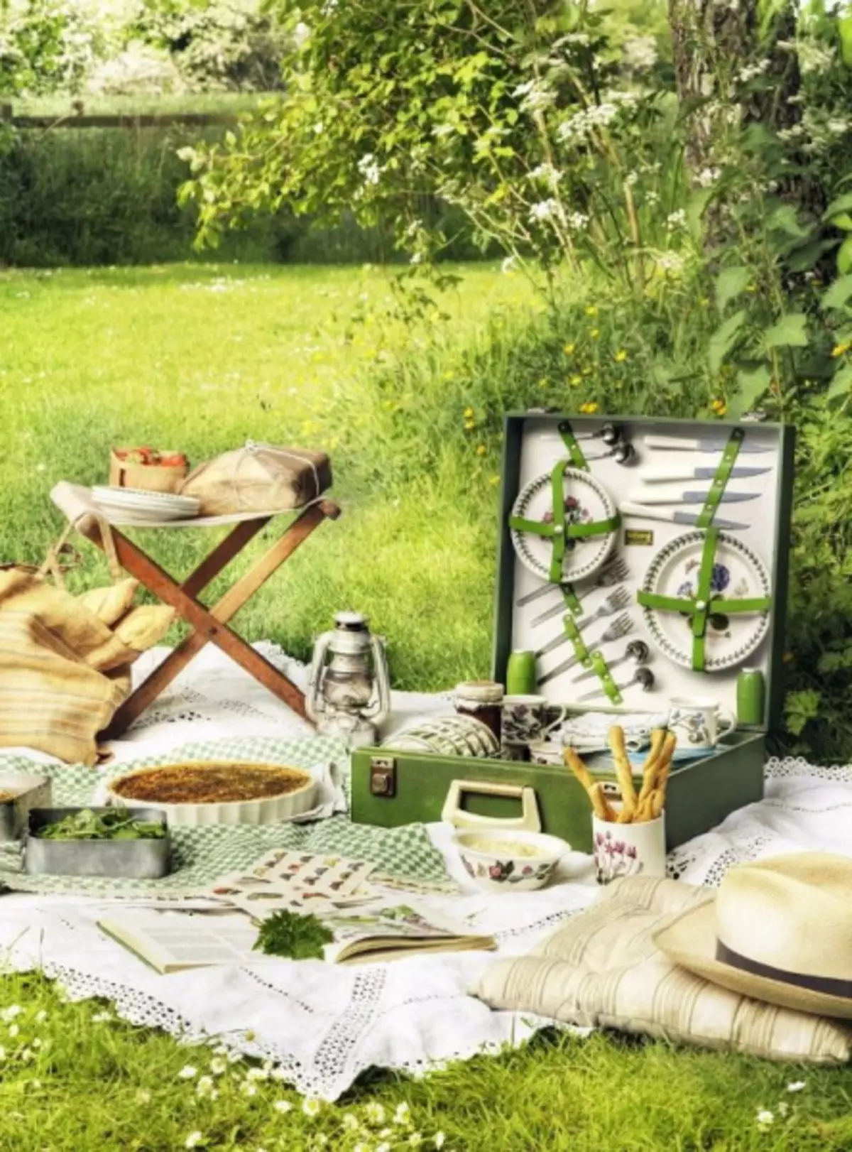Hvordan organisere en vakker piknik i naturen med egne hender