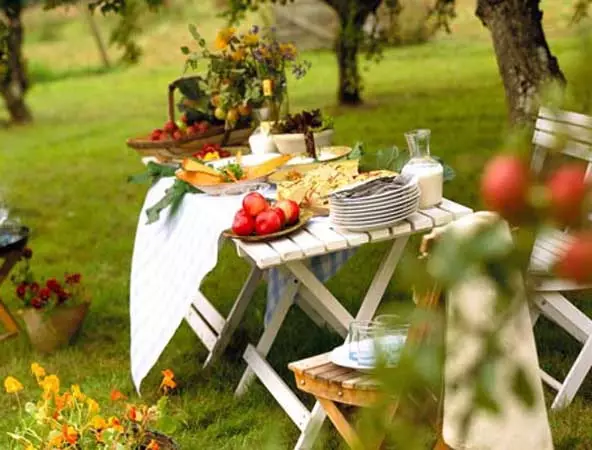 Como organizar un fermoso picnic na natureza coas súas propias mans