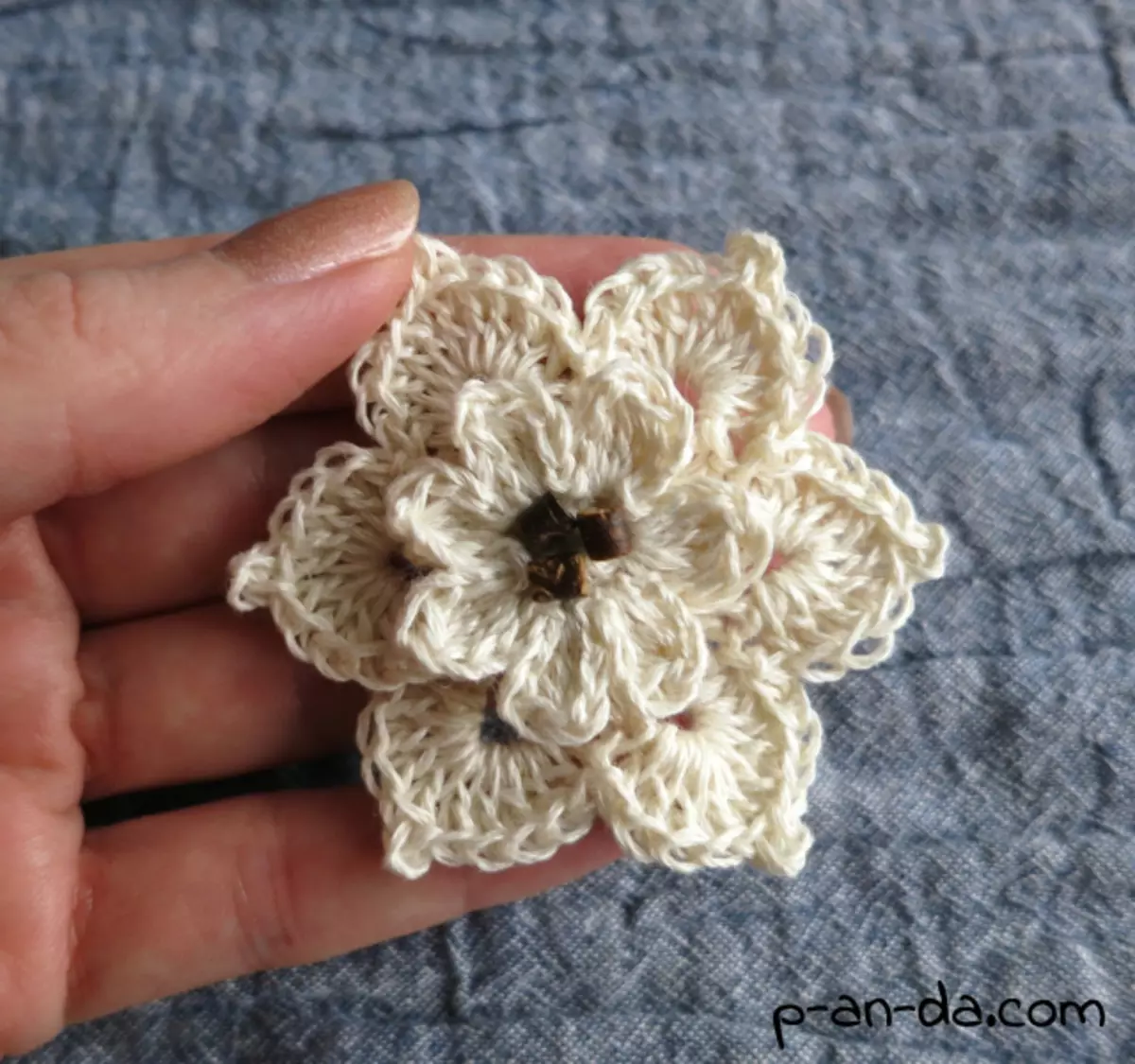 Crochet Brooch: Zvirongwa uye tsananguro zvine master makirasi uye vhidhiyo