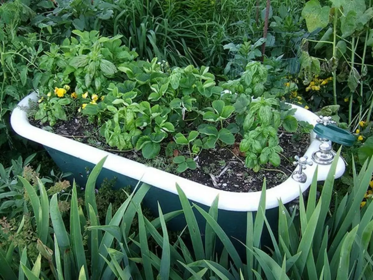 Lo que se puede hacer desde el baño antiguo en la casa de campo: la cama de flores original, un pequeño estanque, un sofá acogedor (37 fotos)