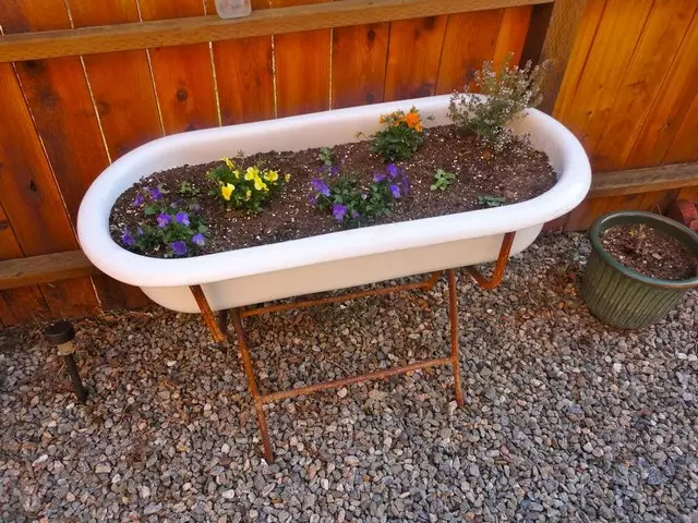O que pode ser feito a partir do velho banho na casa de campo: cama de flor original, uma pequena lagoa, um sofá acolhedor (37 fotos)
