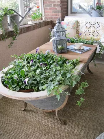 Hvad kan der laves af det gamle bad på hytten: Original blomsterbed, en lille dam, en hyggelig sofa (37 billeder)