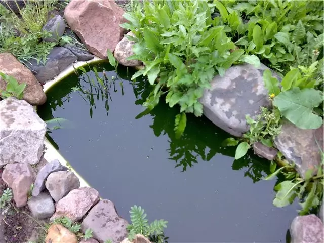 Hvad kan der laves af det gamle bad på hytten: Original blomsterbed, en lille dam, en hyggelig sofa (37 billeder)