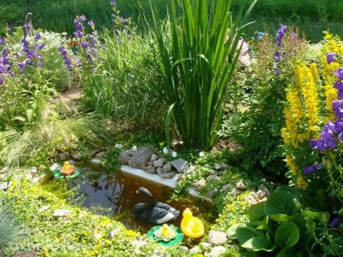 Que se pode facer a partir do antigo baño na casa de campo: cama de flores orixinais, un pequeno estanque, un sofá acolledor (37 fotos)