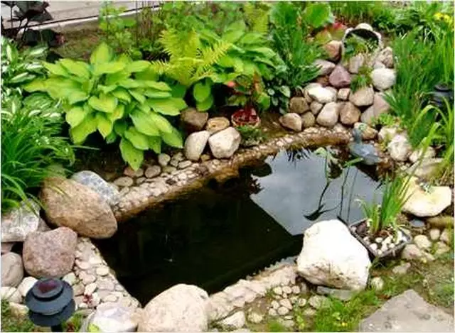 Што може да се направи од старата бања во вилата: оригинален цвет кревет, мал езерце, пријатна троседот (37 фотографии)