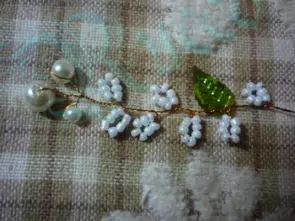 珠子樹上的大師課程：照片和錄像在編織紫藤和珍珠木材上