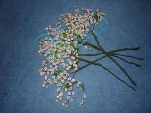 Meisterklasse auf Perlenbäumen: Foto und Video zum Weben von Wisterien und Perlenholz
