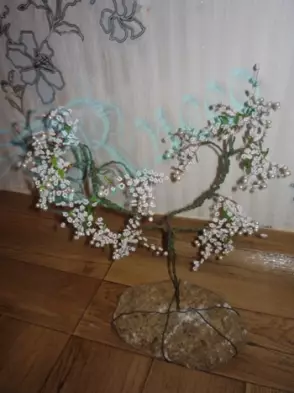 Master klasse på perle træer: foto og video om vævning wisteria og perle træ