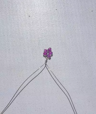 Murakkab daraxtlar uchun master-klass: wisteriya va marvarid yog'ochida foto va video