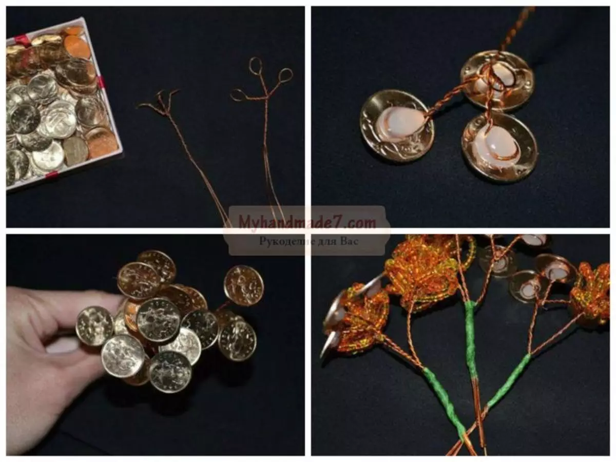 درخت پول با دست های خود را از دانه ها: کلاس استاد با عکس ها و ویدئو