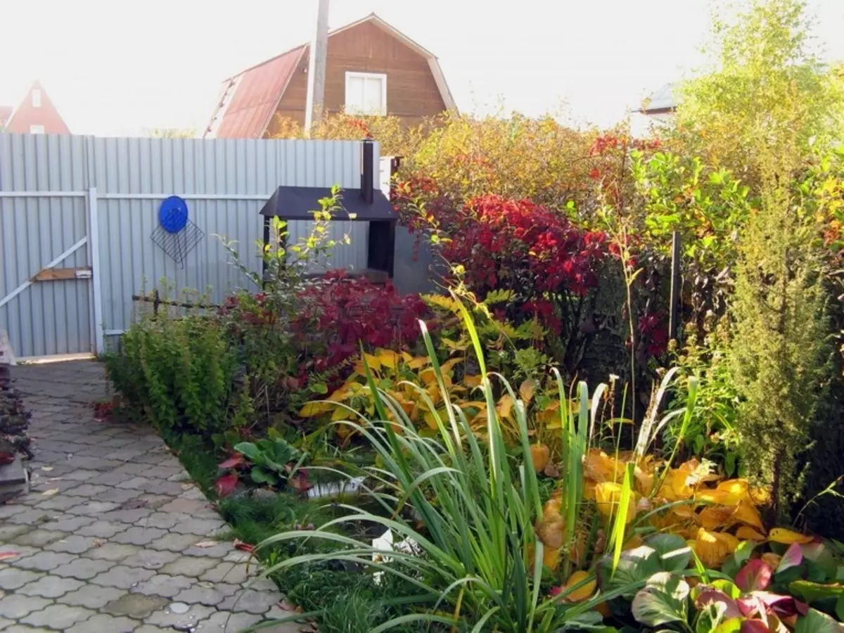 Kako okrasiti kočo in vrt do jeseni (33 fotografije)
