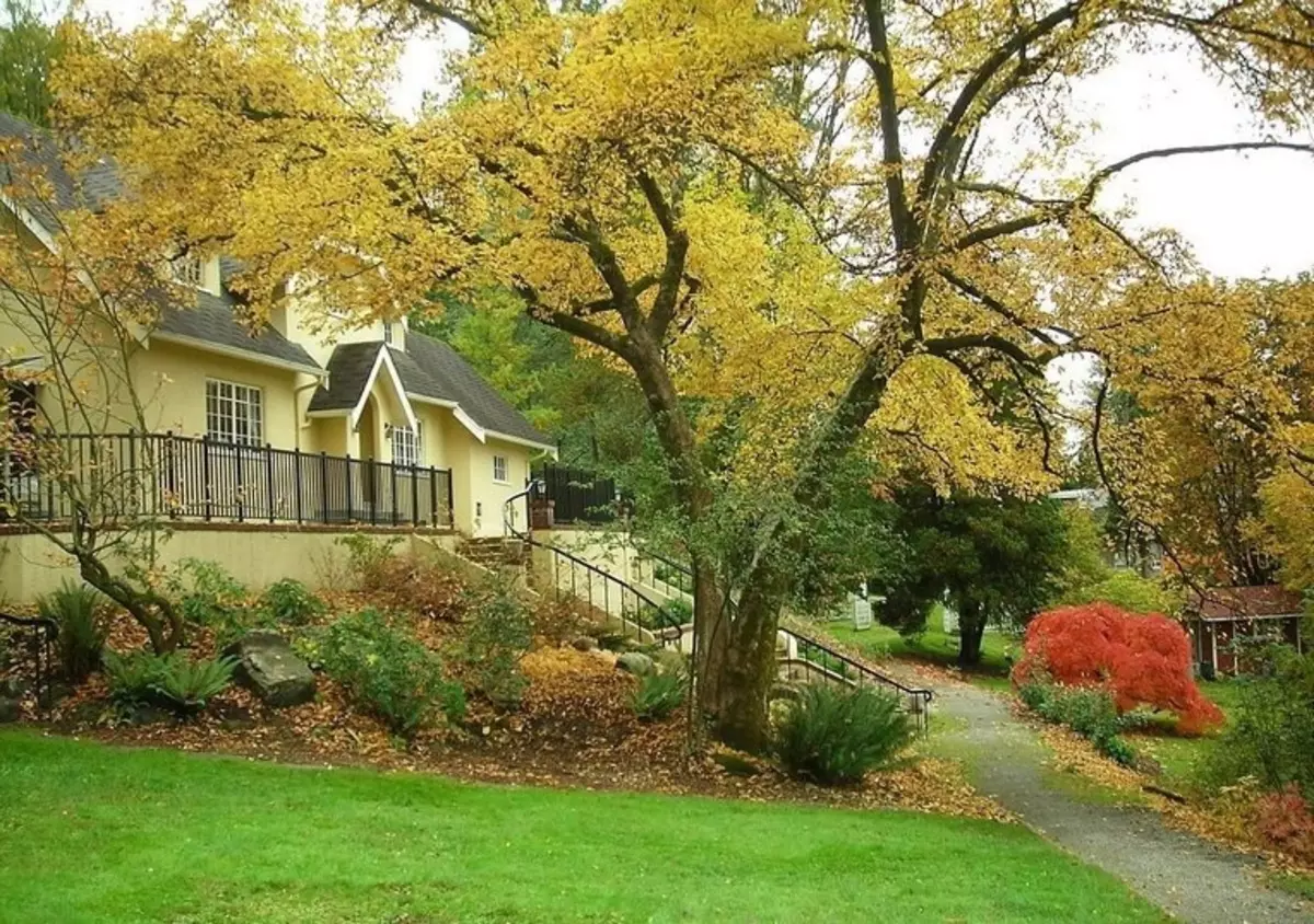 Jak ozdobić domek i ogród do jesieni (33 zdjęcia)