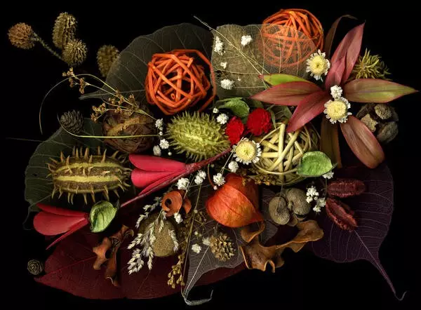 Идеи за есенски занаети: Слики од природни материјали