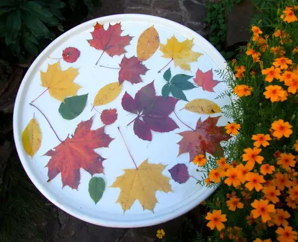 秋季工艺的想法：自然材料的绘画