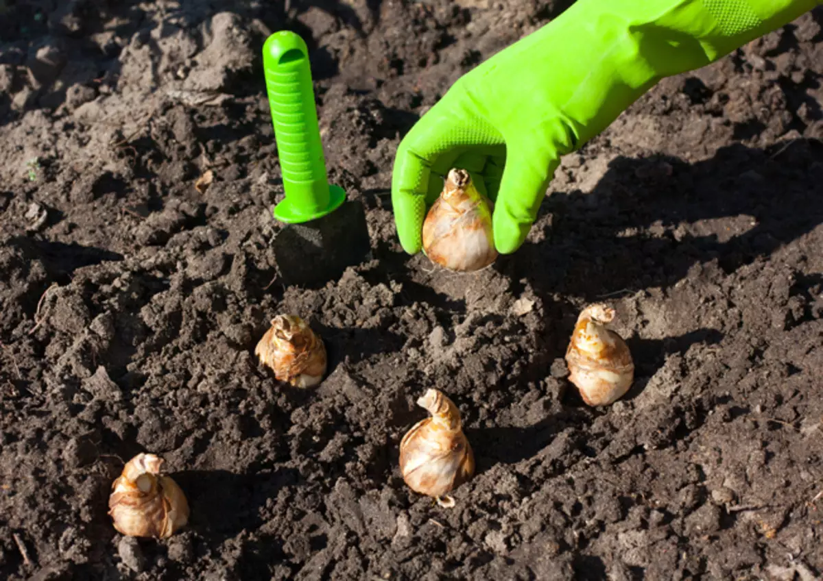 Quoi atterrir dans la région de la campagne en août