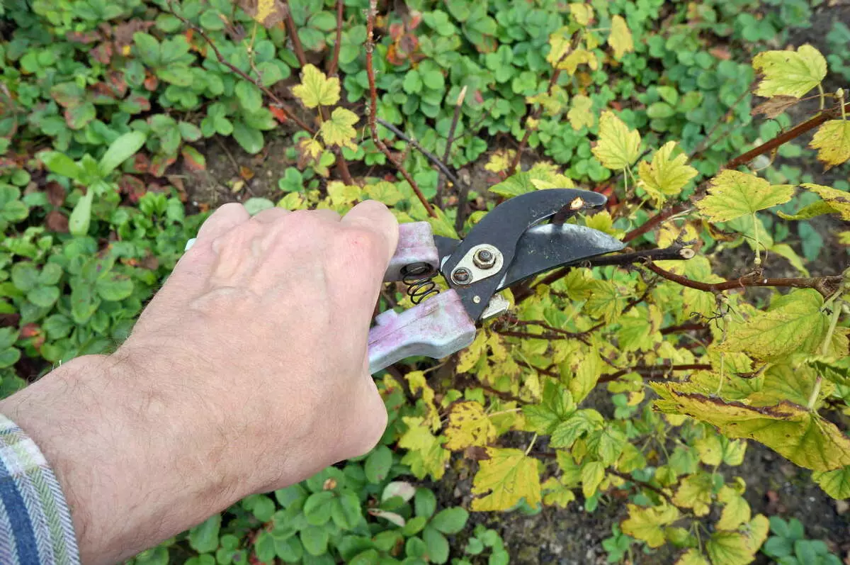 Quoi atterrir dans la région de la campagne en août