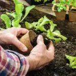 Quoi atterrir dans la région de la campagne en août