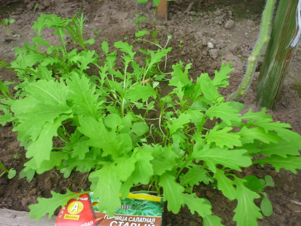 Quoi atterrir dans la région de la campagne en août