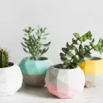 Cachepo en potten foar griene planten: trends 2019