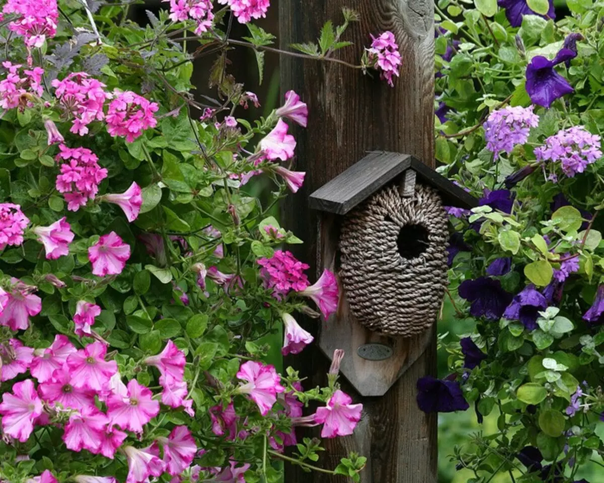 Hvordan og fra hva som skal gjøre et fuglhus i landet eller i gården (41 bilder)
