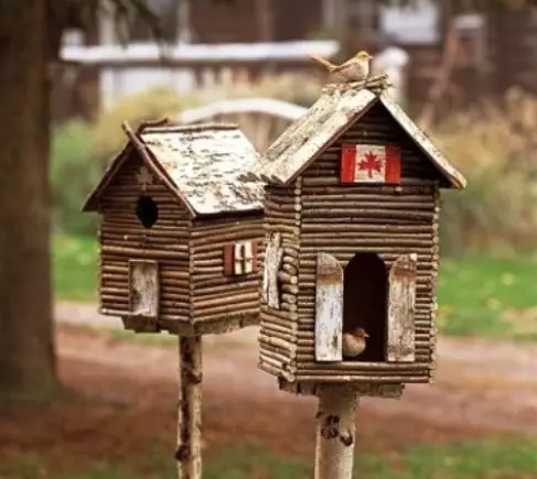나라 또는 마당에있는 Birdhouse를 어떻게 만드는가? (41 장의 사진)