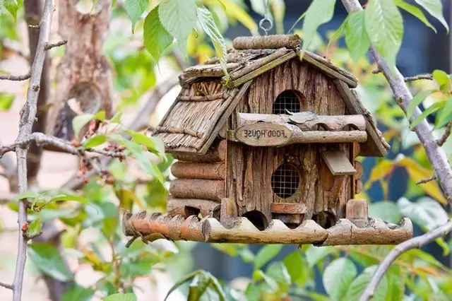 Hvordan og fra hva som skal gjøre et fuglhus i landet eller i gården (41 bilder)