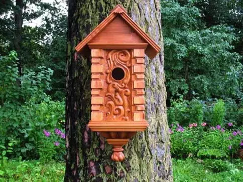 Kako i od onoga što napraviti ptičje kućice u zemlji ili u dvorištu (41 fotografije)