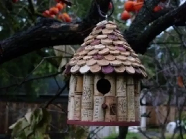 Com i de què fer una casa d'aus al país o al jardí (41 fotos)