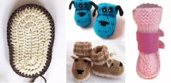 Knit for dogs of small breeds according to the schemes with a description