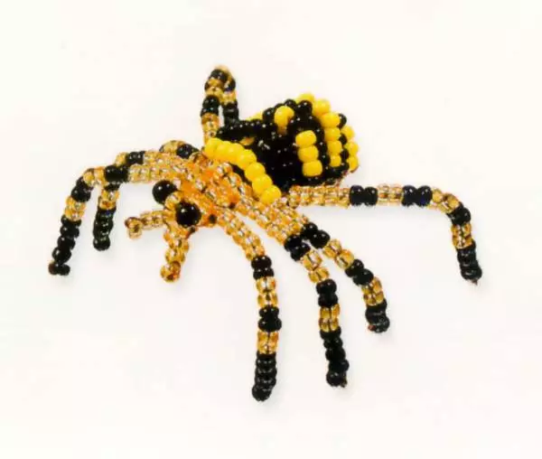 Spider av perler med en ordning og beskrivelse for nybegynnere