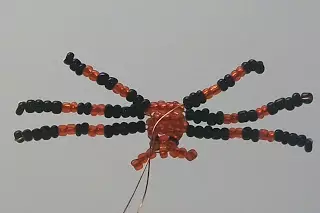 Spider manik karo skema lan deskripsi kanggo pamula