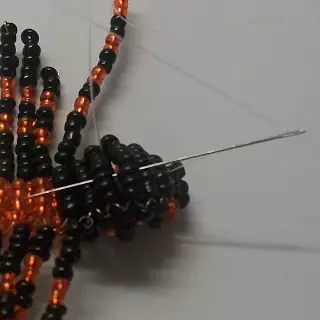 Spider manik karo skema lan deskripsi kanggo pamula