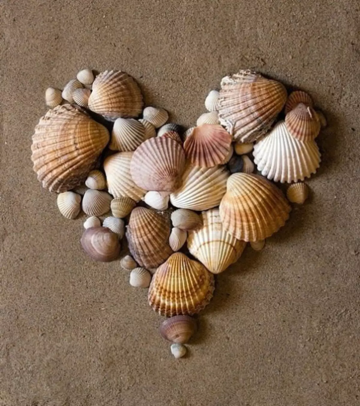 តុបតែងផ្ទះល្វែងមួយ: សិប្បកម្មពី Seashells ដែលមានដៃរបស់ពួកគេផ្ទាល់ (រូបថត 45)